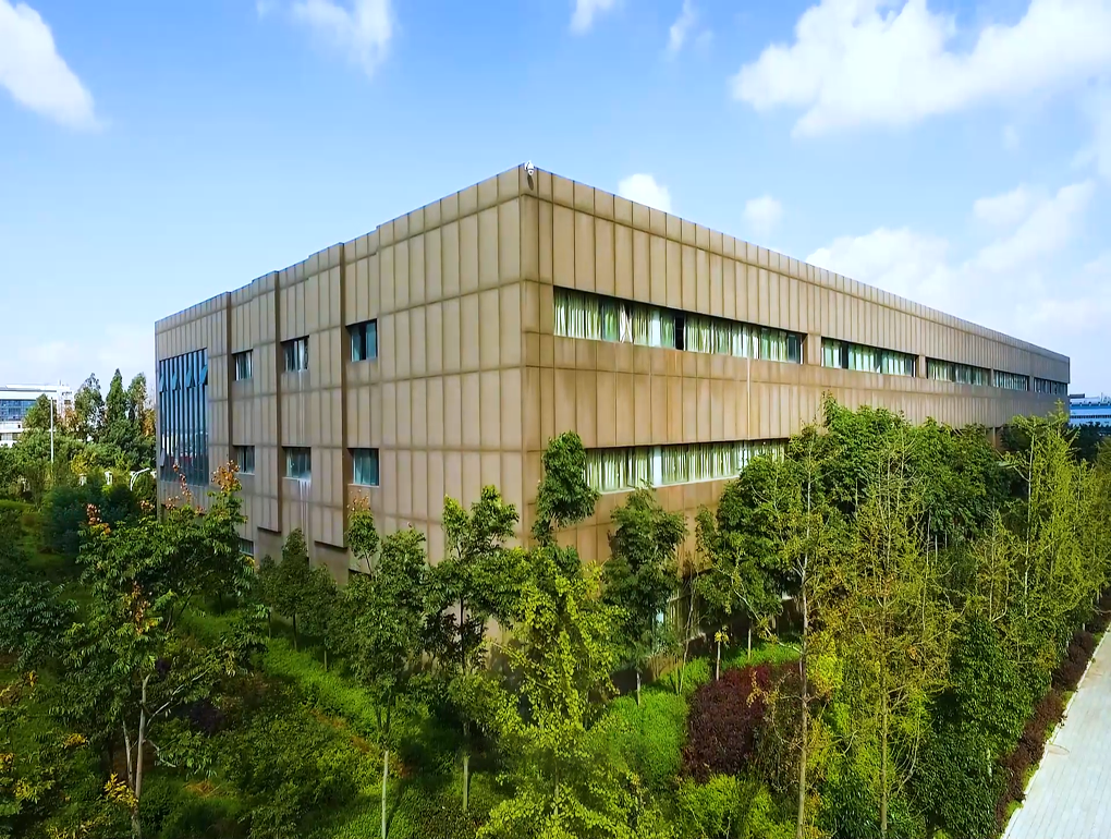 ������ò