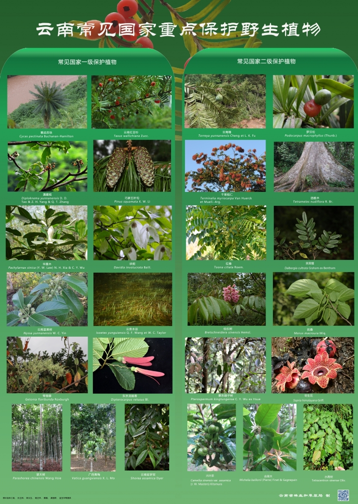 �԰��շ������չ��ȳ������ֲ����